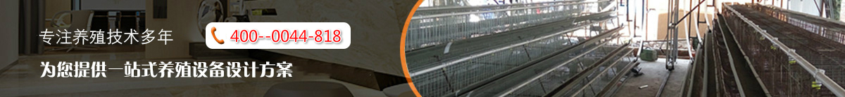 首頁(yè)廣告圖